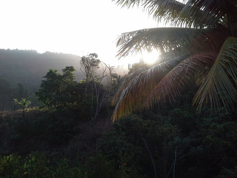 Las Cuevas Beach Lodge المظهر الخارجي الصورة