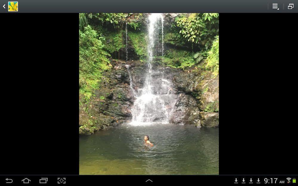 Las Cuevas Beach Lodge المظهر الخارجي الصورة